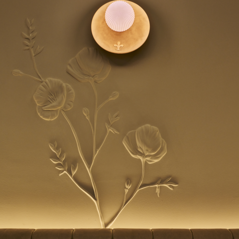 Florin_SolidDesignCreative1