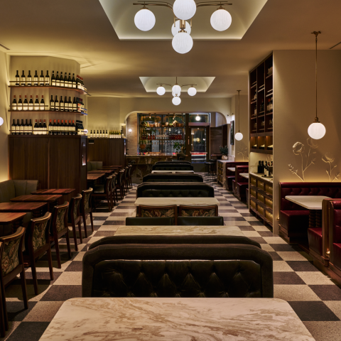 Florin_SolidDesignCreative2