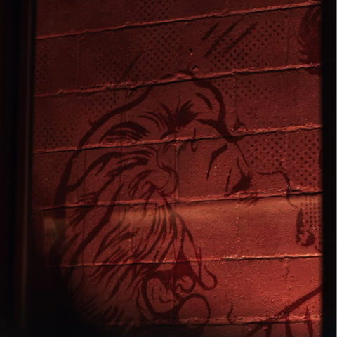 No Vacancy 12 Solid Design Creative